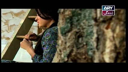 Mehmoodabad Ki Malkain Episode 65 - 30th May 2019