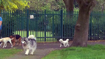 GOODLINES: 31st May 2019