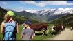 Emmontagnee : les vaches montent aux alpages à la clusaz