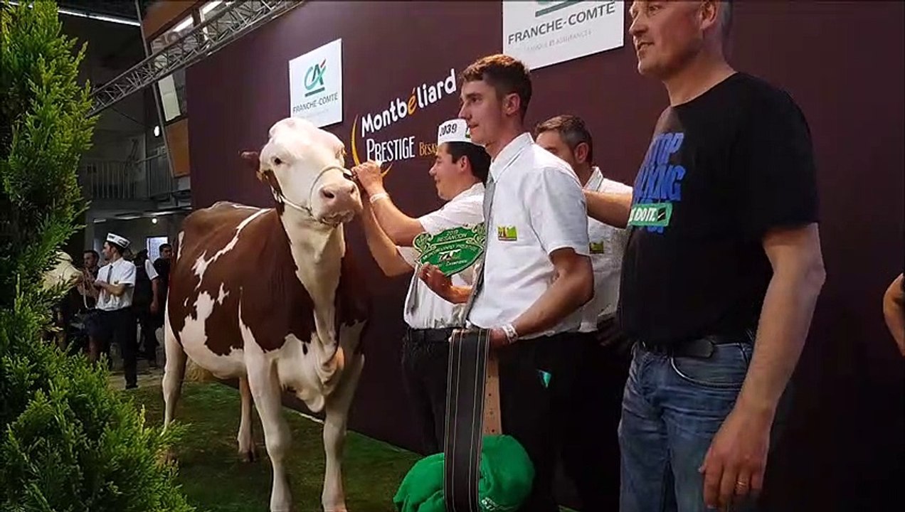 Lunedemiel, de Haute-Loire, grande championne au montbéliarde Prestige à Micropolis