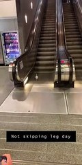 Sport d'un pigeon sur un escalator.. en sens inverse !