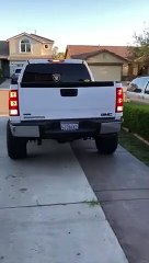 Ce pickup renferme... 15 bébé chiens !