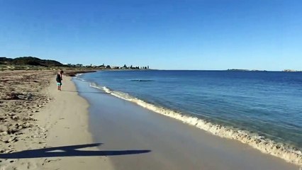 Un chien a trouvé un nouvel ami dans l'eau... un dauphin très joueur