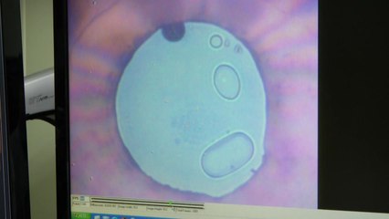 '따뜻한 얼음' 탄생...압력만으로 얼음 제어 / YTN