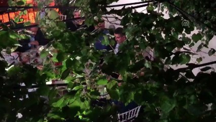 Bakan Pakdemirli aracılığıyla Cumhurbaşkanı Erdoğan'a özel davet - İSTANBUL