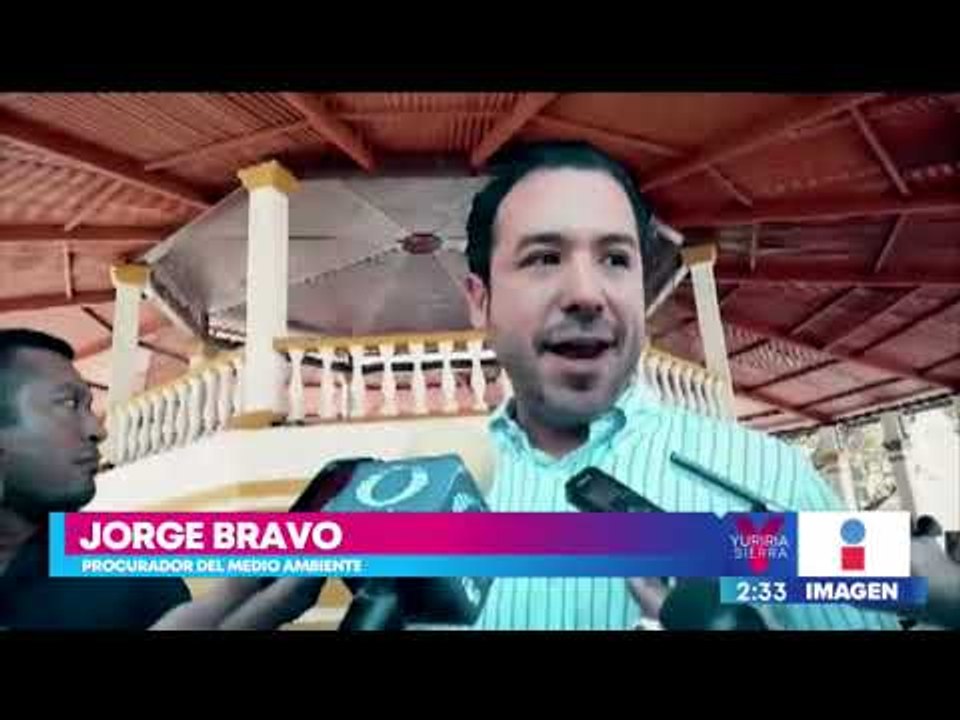 ¡Imperdonable! Envenenan a 50 perros y gatos ca...
