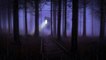 Thunderstorm & Rain Foggy Night Forest | 10 HOURS - 4K, Insomnia, Meditation, Relaxing, Study, Night Rain & Thunder for Sleep
