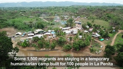 Migrants dreaming of US brave Panamanian jungle odyssey