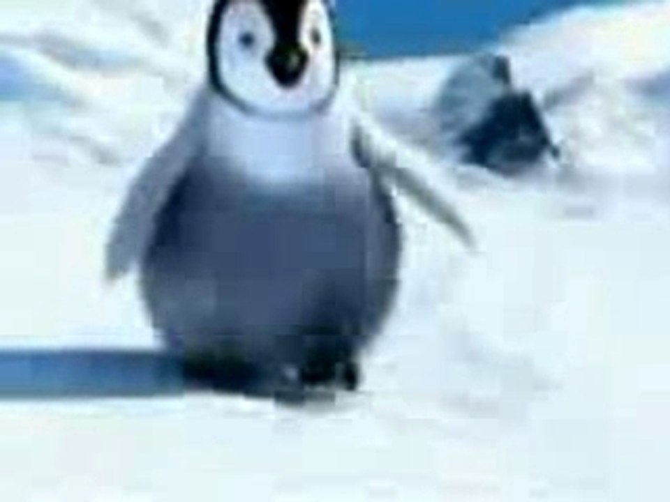 Pingouin ki danse turk