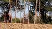 Build three-story mud house (using bamboo and mud)