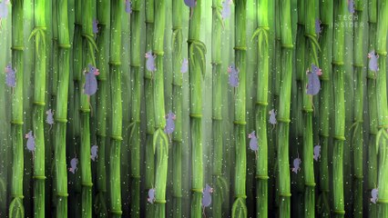 Why cities can't get rid of rats