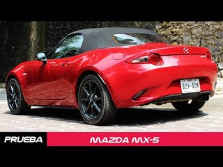 Mazda MX-5 (Miata) a prueba - CarManía
