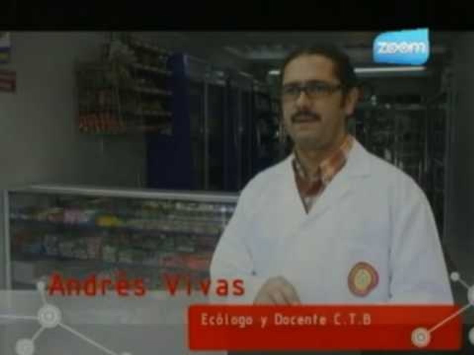 Reel Innova FINAL.wmv