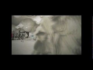 Celebración del Bicentenario - La Ruta de los Comuneros