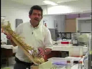 biomateriales .wmv