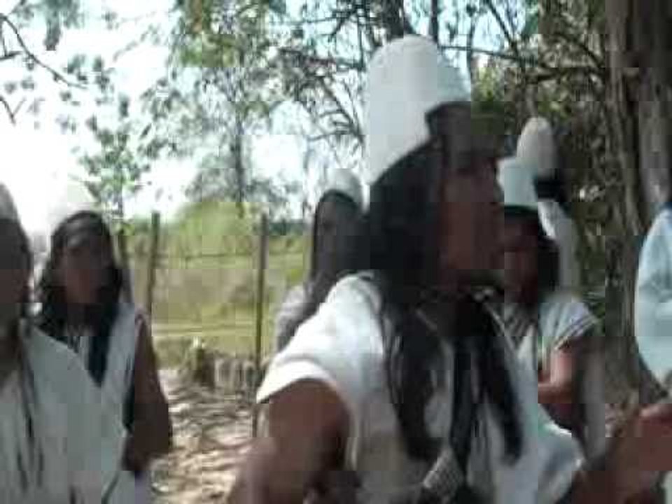 linea negra