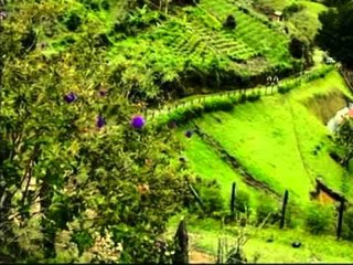 Coja Oficio 05 - Corredores de aventuras