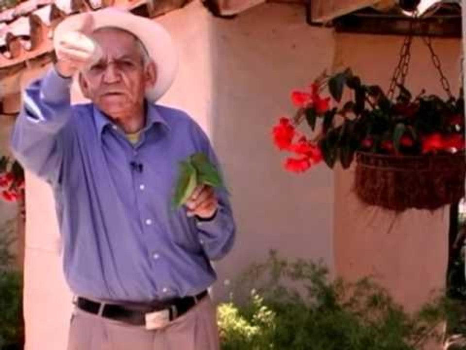 Coja Oficio 06 - Entrenador de pericos