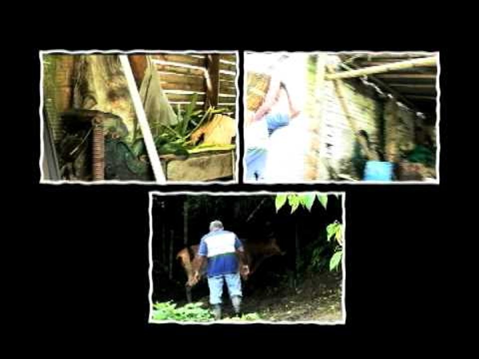 Capítulo 2 Serie "De Mentes": Enrique Aguilar Fernández - Universidad Tecnológica de Pereira