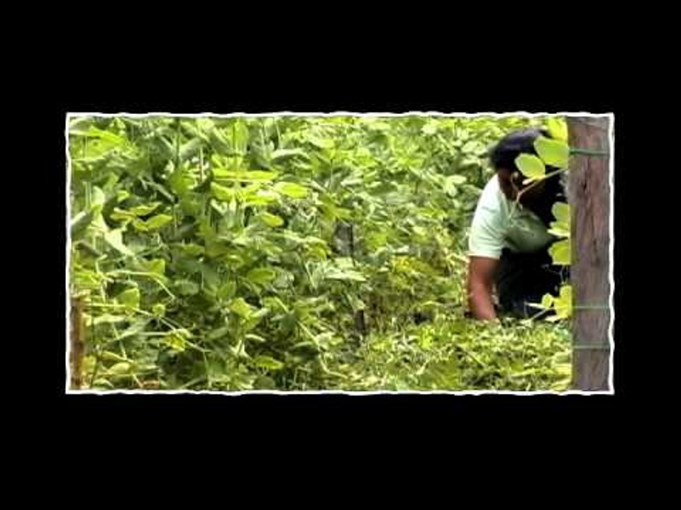 Capítulo 2 Serie "De Mentes": Óscar Eduardo Checa Coral - Universidad de Nariño