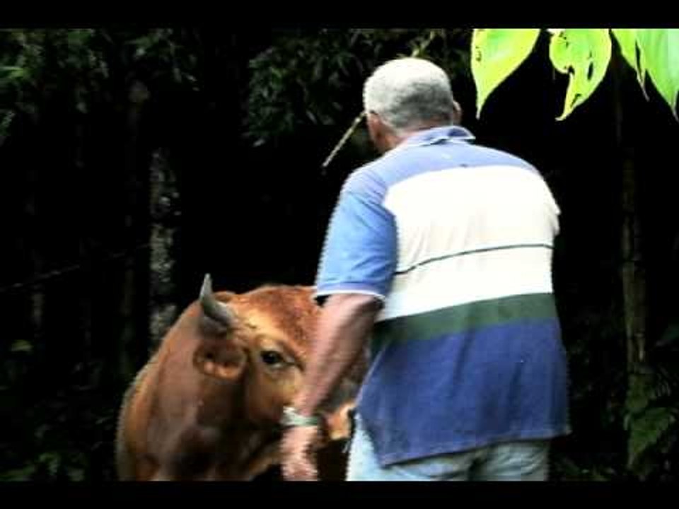 Promocional capítulo 02 - Serie "De Mentes" Canal ZOOM