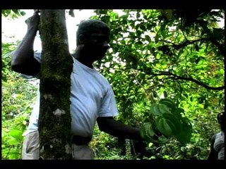 Capítulo 22 Serie "De Mentes": Robert Tulio González Mina - Universidad del Pacífico