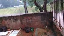 Vídeo mostra Avenida Piquiri invadida pela água da chuva