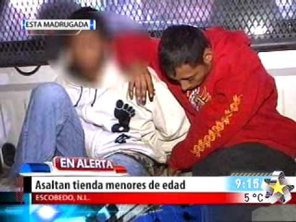 Muere todo por un gato. (En Alerta)  (Fuertes Imagenes)