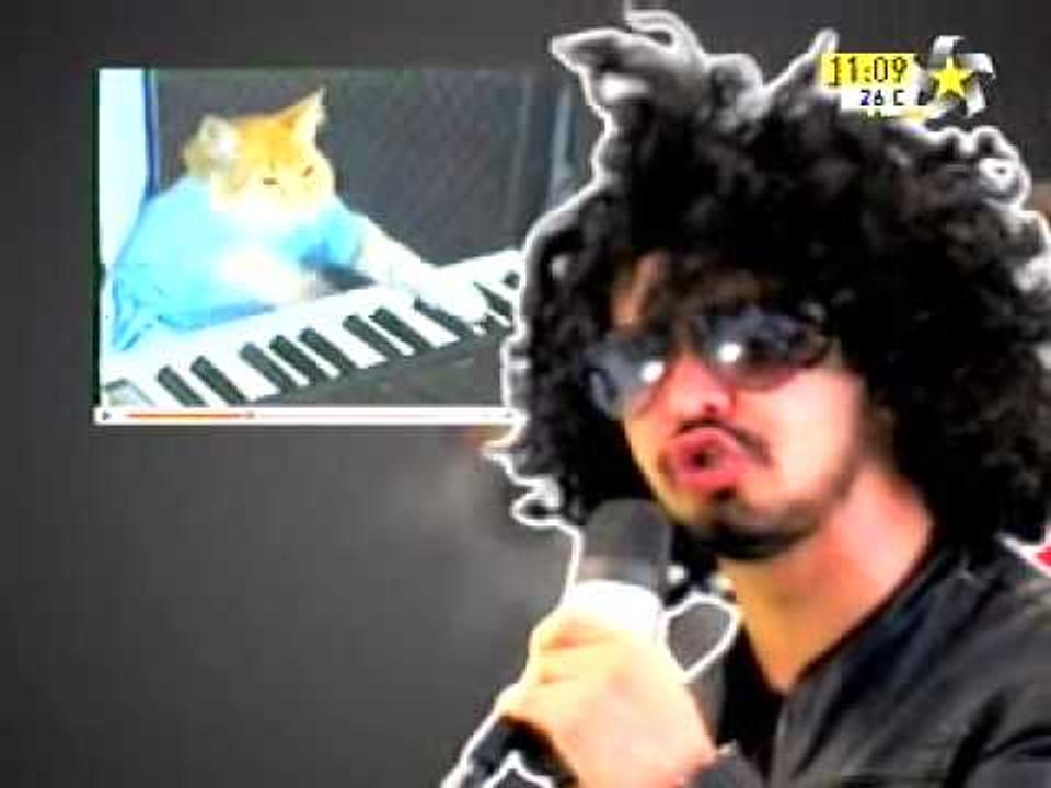 Regreso de Morfo con nuevo video.