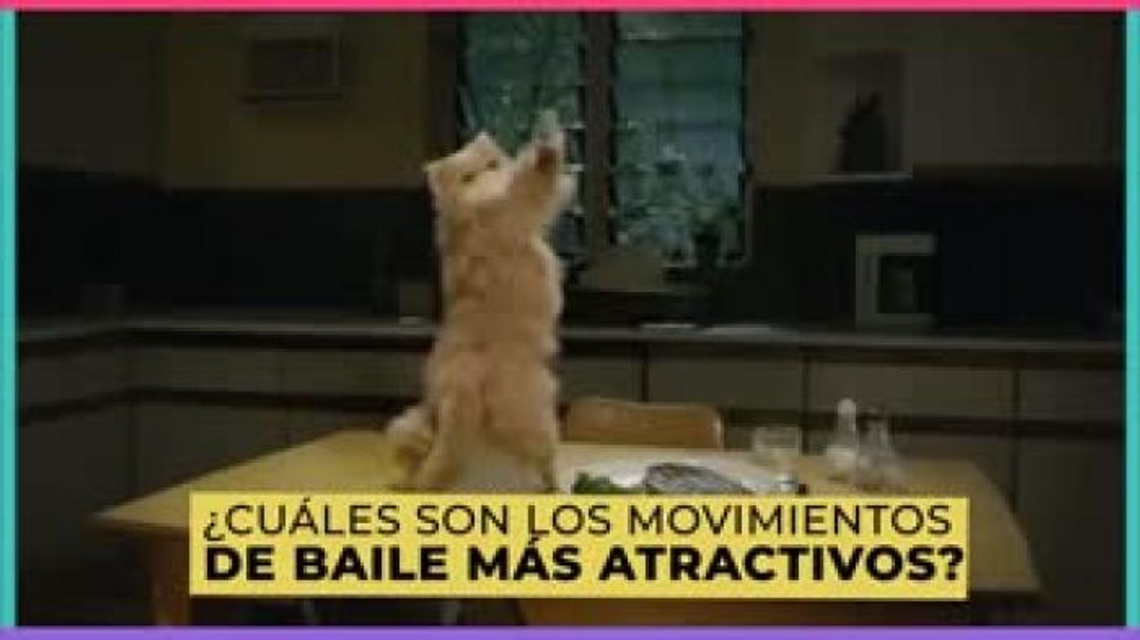 Tecnología y ciencia | Estos son los pasos de baile más atractivos, según la ciencia
