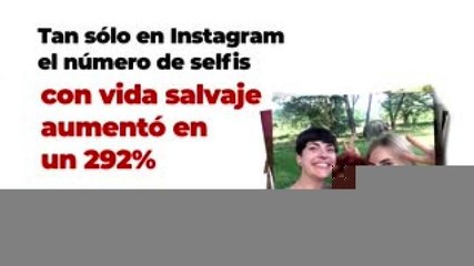 Tecnología y Ciencia | Este es el daño que le hacen las selfis a los animales