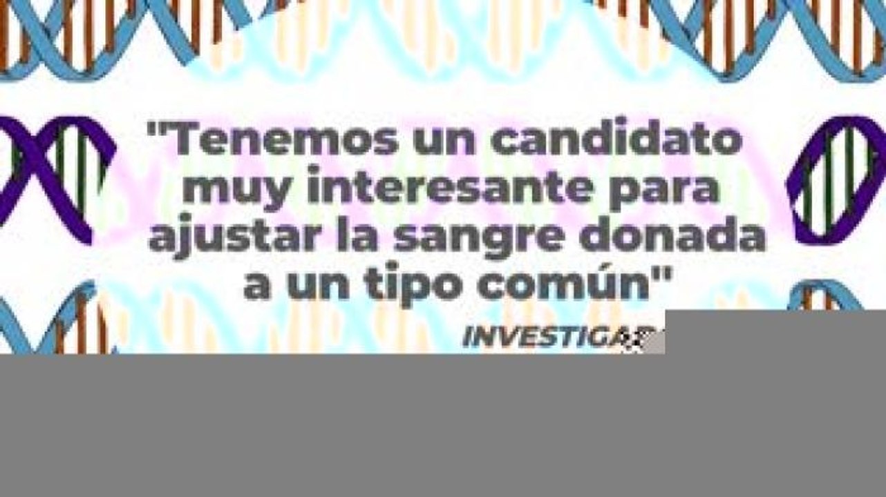 Tecnología y Ciencia | Bacterias intestinales prometen desarrollar sangre universal