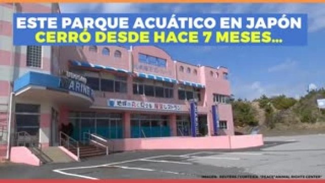 Entretenimiento | En este parque acuático dejaron abandonados a los animales