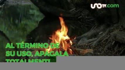Entretenimiento | Tips de mochilero para ir de campamento