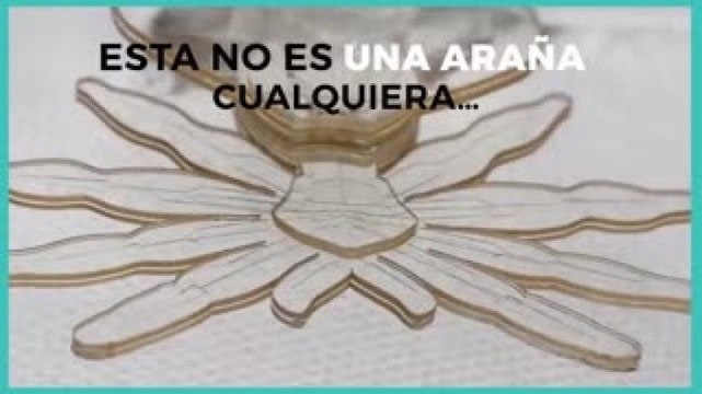 Tecnología y Ciencia | Robot araña milimétrico, el futuro en la cirugía humana