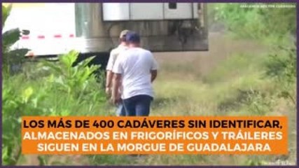 Estados |  400 cadáveres sin identificar en la morgue de Guadalajara