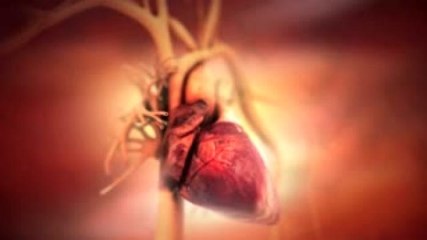 Internacional | De corazón ¡Cuídate!: Día Mundial del Corazón