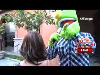 Reportaje de Mister Grin (casting de Mitad y Mitad lucha por el amor)