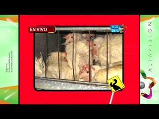 Investigación especial