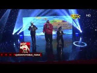 Don Yoyo y Bull Terry etapa de Canto