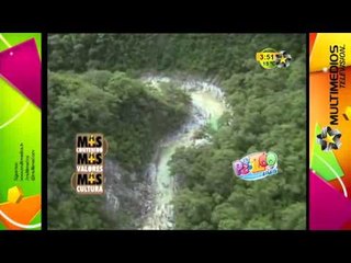 Matacanes (Más Contenido, Más Valores, y Más Cultura)