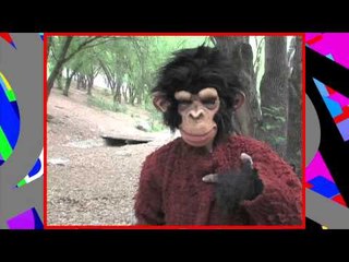 Princesita Ana Celia se convierte en Chango