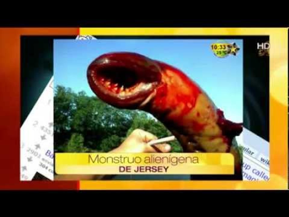 Monstruo alienígena de Jersey