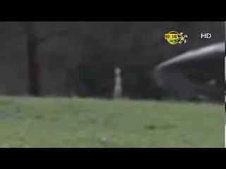 ¿Un OVNI con extraterrestres?