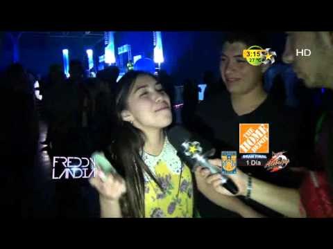 FreddyLandia (Concierto Sebastián Ingrosso) Parte 2