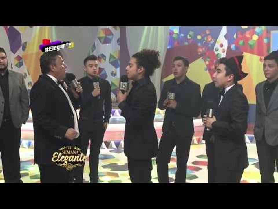 Brandon se pelea con Tomato