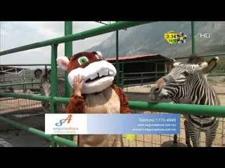 Anima Locos con Viri Velázquez (Rebeca y Poncho)