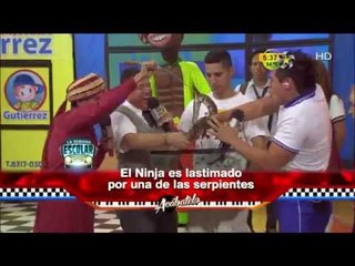El hijo del Ninja se mete en problemas con una serpiente