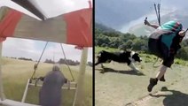 Paragliding Camera Fail & Dog's Mind Blown By Paraglider