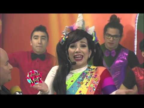 Estrellita del mar no hace caso a chismes